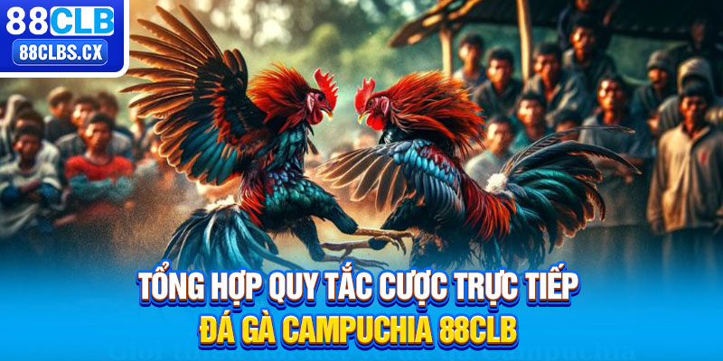 Tổng hợp quy tắc cược trực tiếp đá gà Campuchia 88CLB